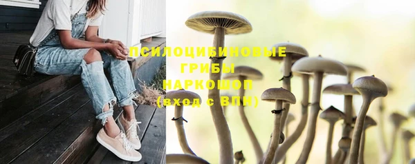 прущая мука Баксан