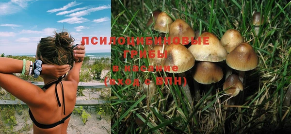 сатива Балабаново