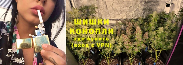 ГАЛЛЮЦИНОГЕННЫЕ ГРИБЫ Балахна