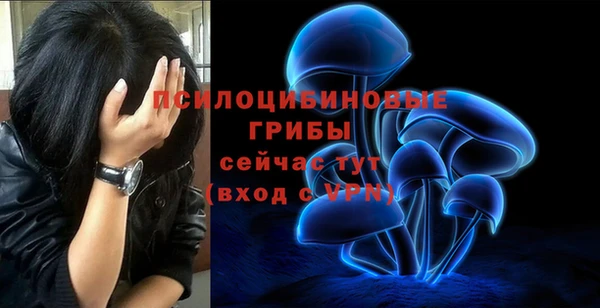 ГАЛЛЮЦИНОГЕННЫЕ ГРИБЫ Балахна